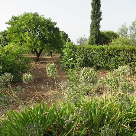 Vivelorural Casa El Balcon, Santa Brigida 维加-德圣马特奥