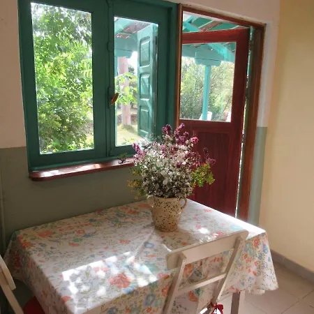 Vivelorural Casa El Balcon, Santa Brigida 维加-德圣马特奥