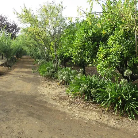Vivelorural Casa El Balcon, Santa Brigida 度假居